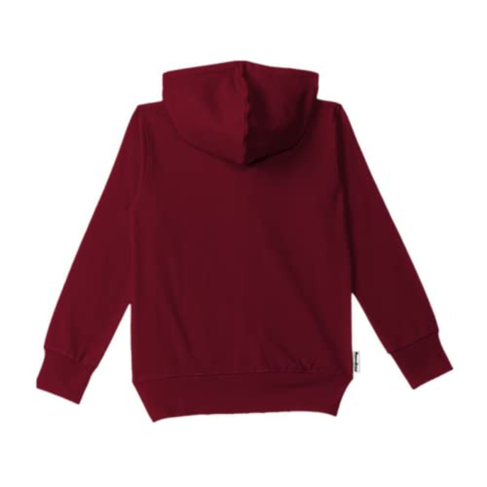 Boy's Fleece Cotton Hoodies Sweatshirts (Pack of 1)